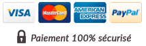 Visa, Mastercard, American express et Pay Pal