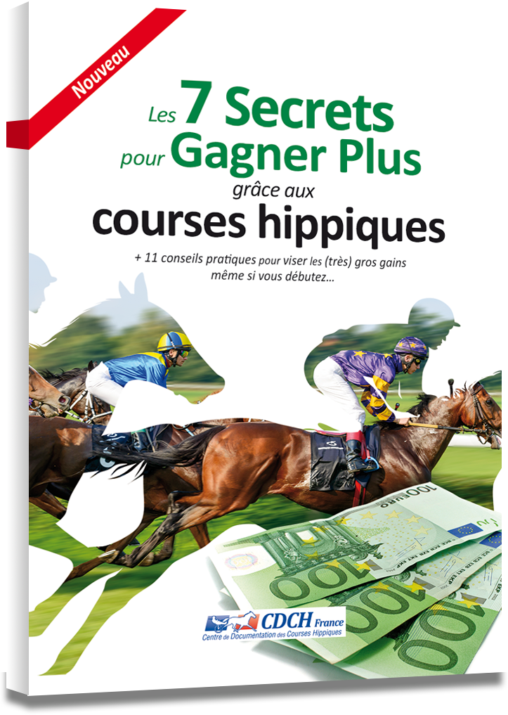 couverture Fiches Pratiques